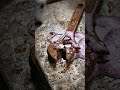 Hand cleaning #rusted #wrench #entertainment #restoration #restored #home