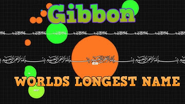 Agar.io - HOW TO GET THE LONGEST NAME // AGARIO WORLDS LONGEST NAME!!!