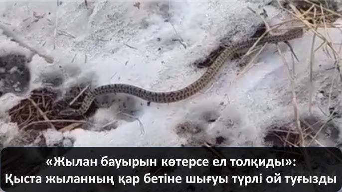 Жоғары сапалы колготки порно Андерсон порно онлайн көру