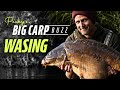 Pecky's Big Carp Buzz - Wasing Estate, Oxlease (Chasing Monster Carp) | Korda 2021