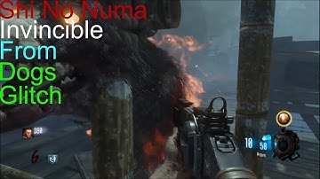 Bo3 Zombies Chronicles: Shi No Numa Invincible From Dogs Glitch