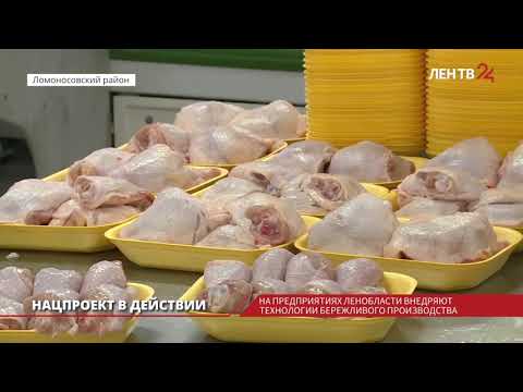 Мясокомбинат в Ленобласти снизил себестоимость производства курицы
