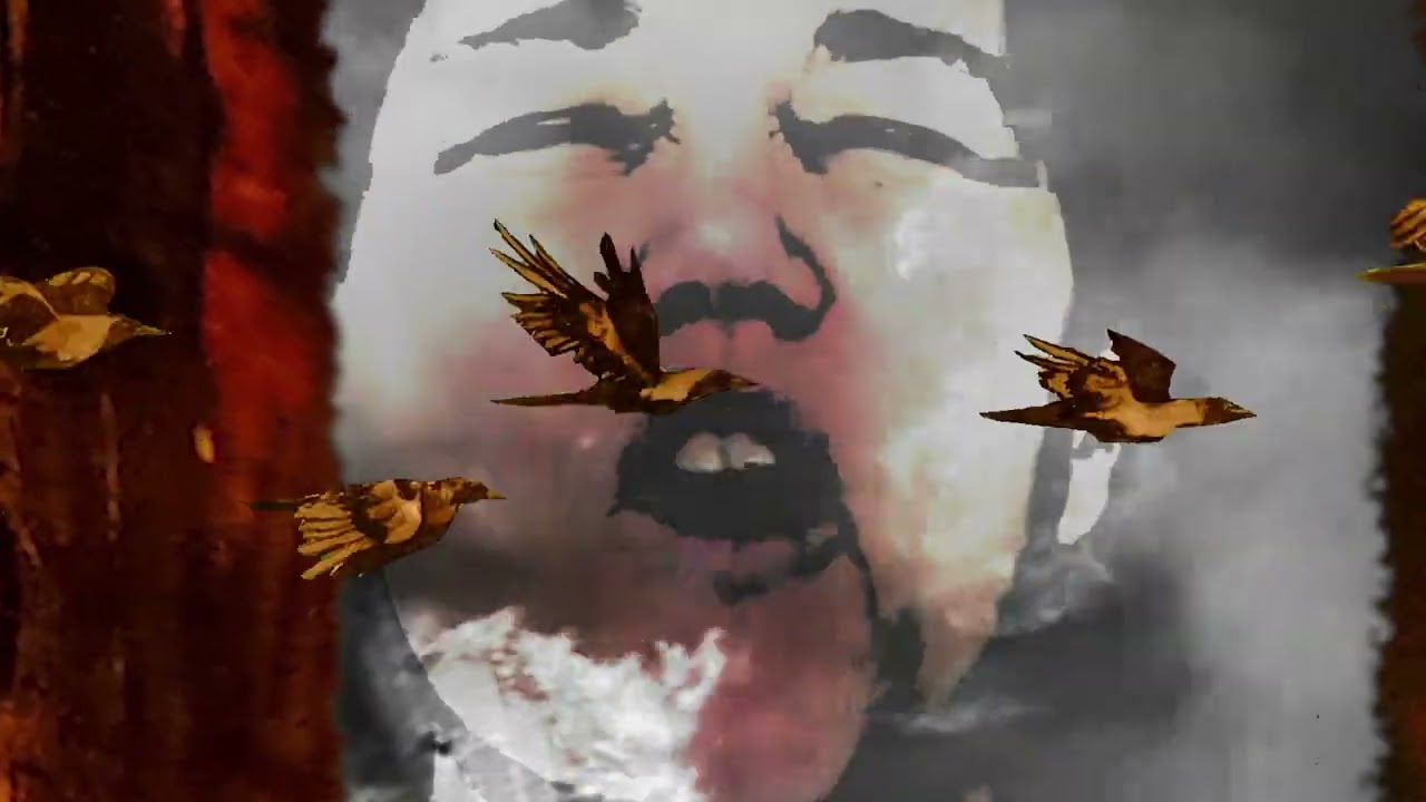 SVARTA HAVET - DITT RIKE (OFFICIAL VIDEO)