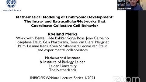 INBIOSIS Webinar Lecture Series 1/2021 - Prof. Dr. Roeland Merks