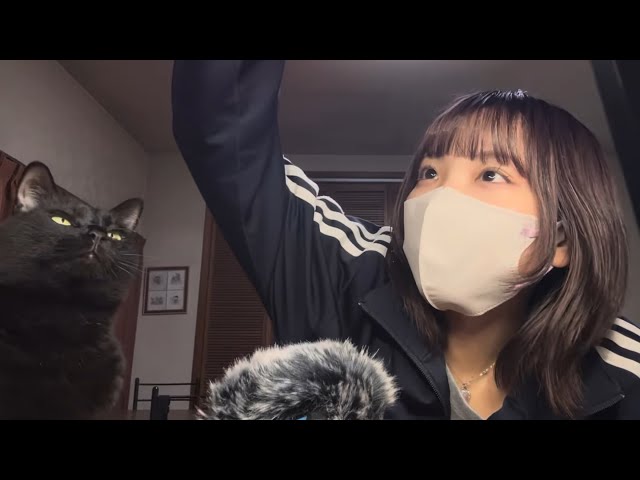 【ASMR】猫が鳴いたら即終了ASMR【猫の日】