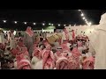 سامري فرقة الرايه يالله يا ناعش المسنين سامري فرقة الرايه يالله يا ناعش المسنين