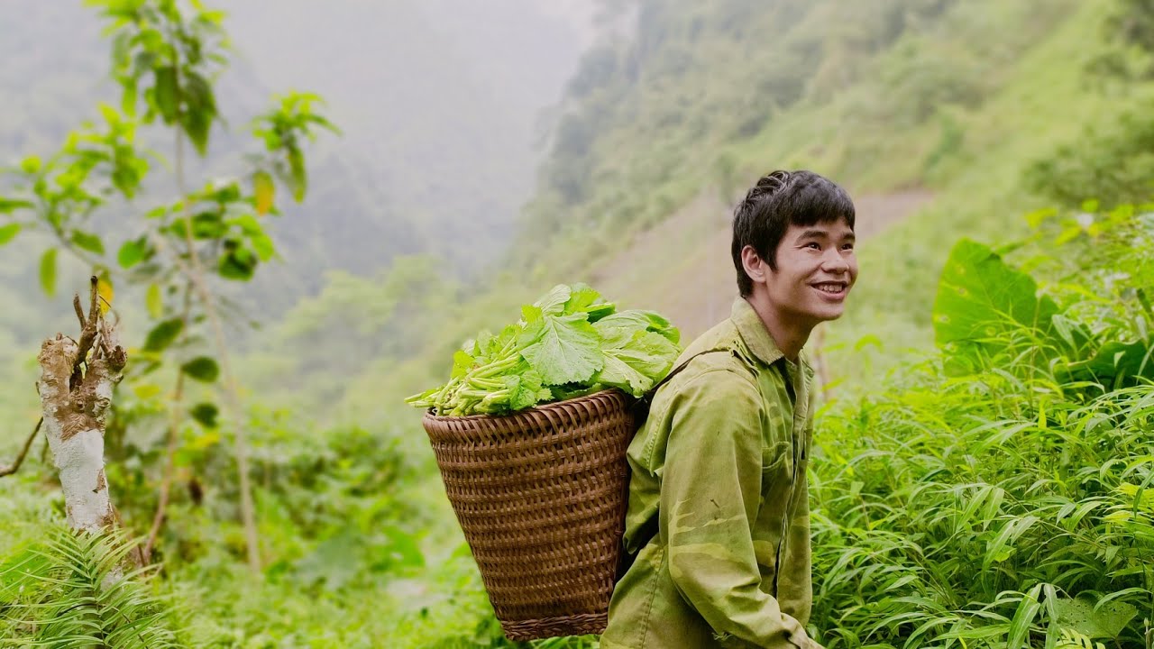 Harvesting green vegetables & catching stream fish to sell to the market | Trieu Van Thang