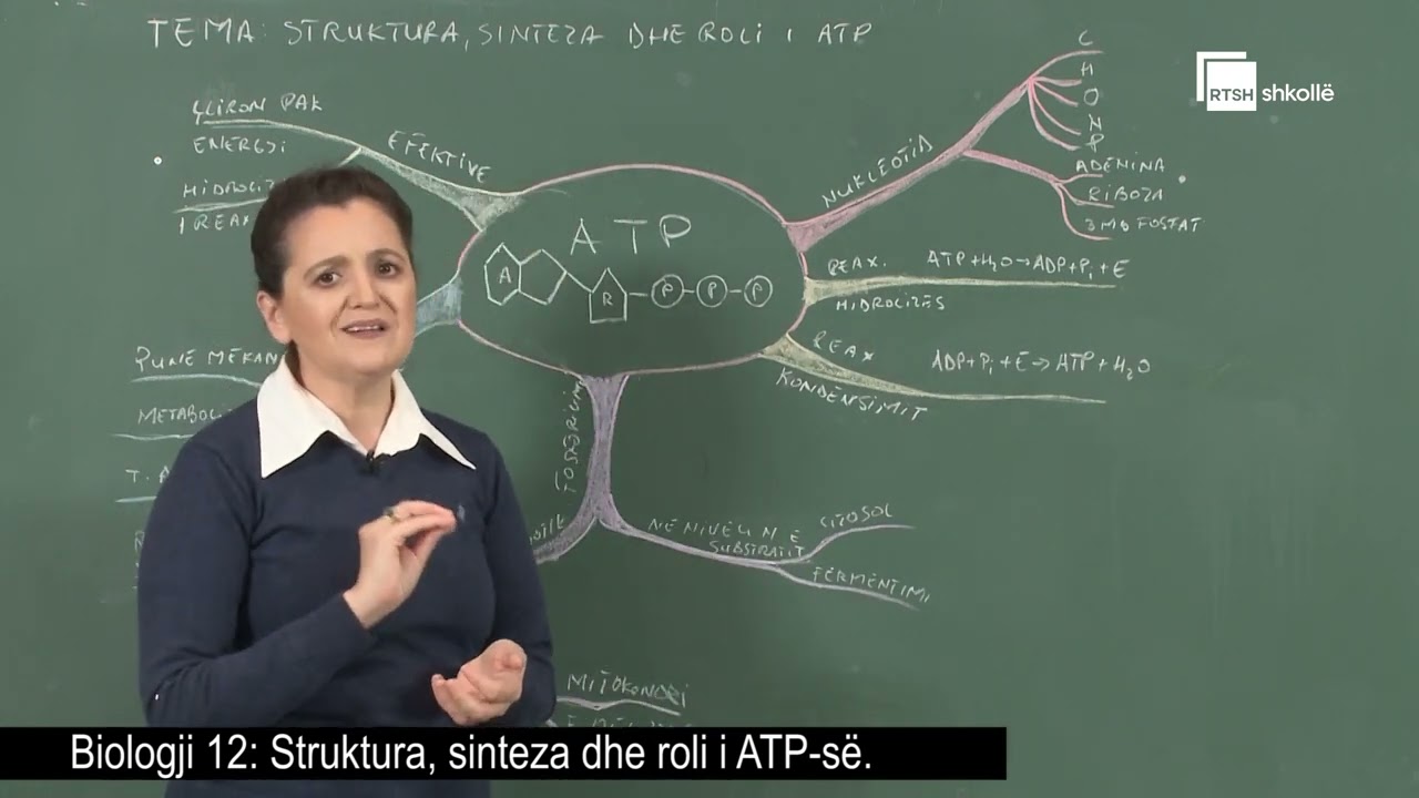 Struktura, sinteza dhe roli i ATP-së | Biologji 12