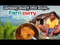 Verdant delight savory fern currynatural cookingwild weg cookingswatismania