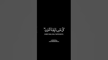 يا عبادي الذين آمنوا إن أرضي واسعة شاشة سوداء |كرومات قرآن كريم بصوت #عبدالرحمن_مسعد |#سورة_العنكبوت