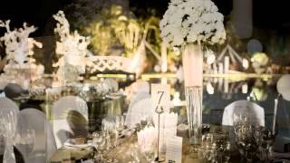 Wedding Testimonial
