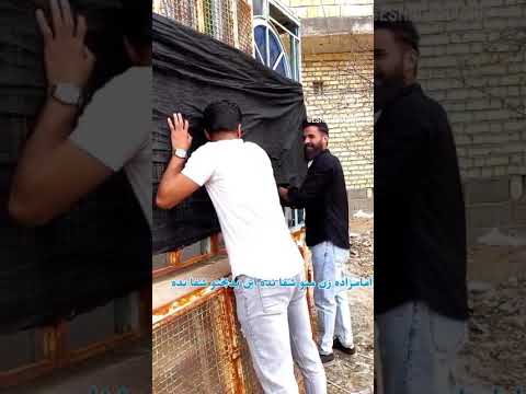 بخت برگشته