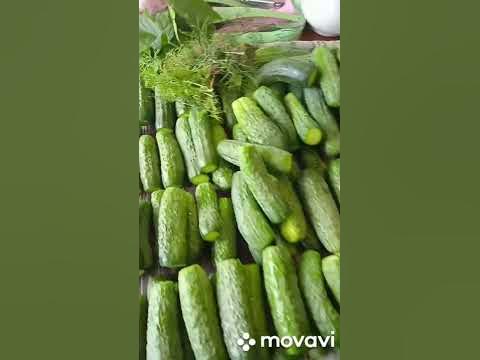 консервация хрустящих огурцов шоша и гоша - YouTube