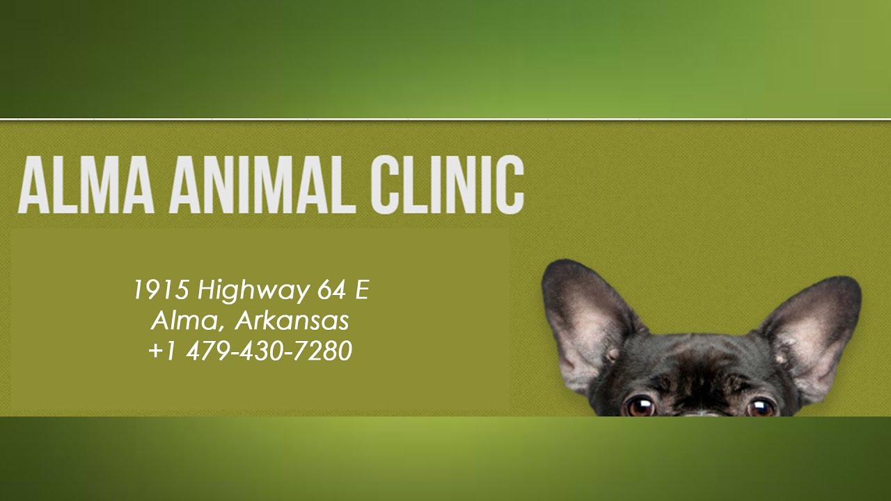 Alma Animal Hospital REVIEWS Alma, Arkansas Review YouTube
