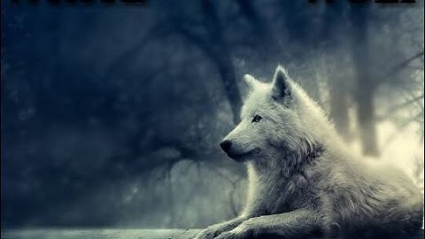 White Wolf - Channel Intro