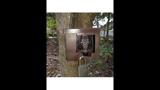 SpyPoint Evo Deer Camera Lock Box