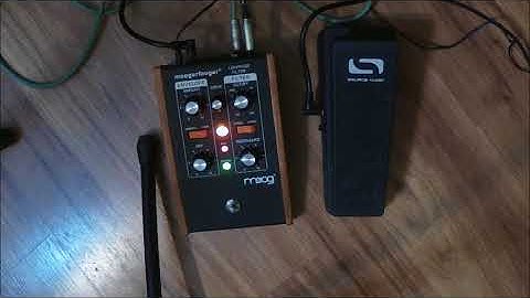 MOOG MF 101 Low Pass Filter W/ Source Audio Expression Pedal (Part 3)