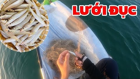 NAY THỬ TRẢI NGHIỆM ĐÁNH LƯỚI CÁ ĐỤC