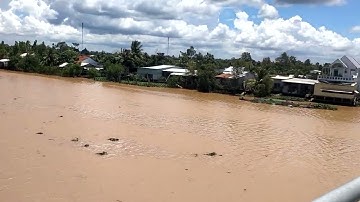 cầu vàm cái thia