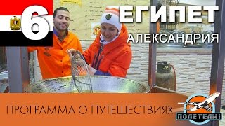 Египет ч. 6. Александрия: фаросский маяк, библиотека, зоопарк. Программа Полетели(Привет, дорогой друг! Спасибо тебе за то, что смотришь наши выпуски! Этим летом мы летим на несколько месяцев..., 2015-06-15T15:18:32.000Z)