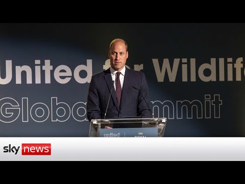 Watch live: prince of wales delivers speech at united for wildlife global summit