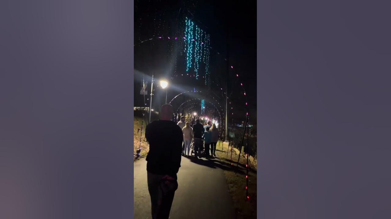 Pigeon parade of lights 2023 YouTube