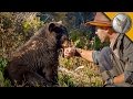 Baby Black Bear is the Teddy Bear of the Forest