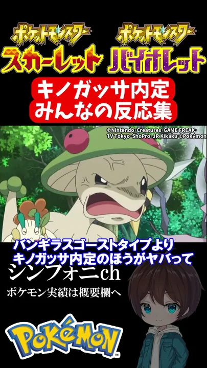 キノガッサ内定 キノガッサ内定