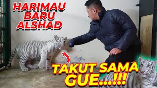 PERTAMA KALI KETEMU SELEN,LANGSUNG TUNDUK SAMA GUE ...!!!