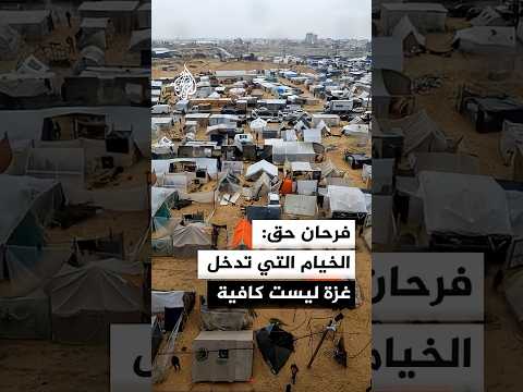 فرحان حق: الخيام التي تدخل غزة ليست كافية