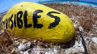 Invisibles Bonaire Dive 2019