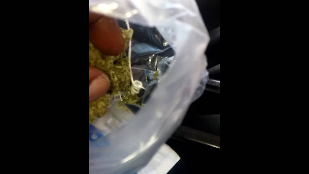 Nice tight buds fla⛽⛽👽nycd