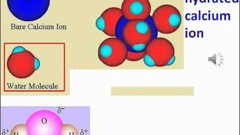 Diffusion and Osmosis Problem 4