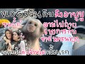 VLOG 3 วันกับลิงอาบูบูและชาช่า !! ไปเที่ยวครั้งแรก !!