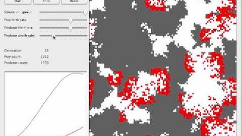 Predator Prey Cellular Automata