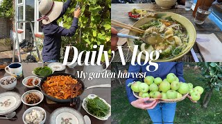 영국 사는 50대 주부 일상| My day as a part time youtuber and full time mum|포도와 사과 수확,닭갈비,포도 주스, 집밥 & 도시 전원 생활
