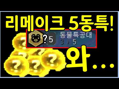 드디어 성공했습니다! 정신나간 미친 보상이 쏟아지는 세기말 리메이크 5동특 ㅋㅋㅋㅋㅋ