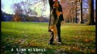Bullet Time technology test