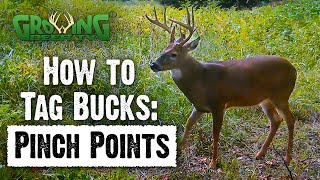 How to Find Pinch Points to Get in Range of Bucks