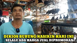 SELALU ADA YANG DIPROMOKAN UNTUK HARGA JUAL BURUNGNYA DIKIOS NASIKIN PASAR BURUNG PRAMUKA HARI INI