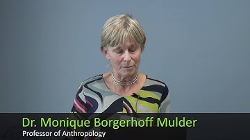 Contemporary applications of anthropological concepts