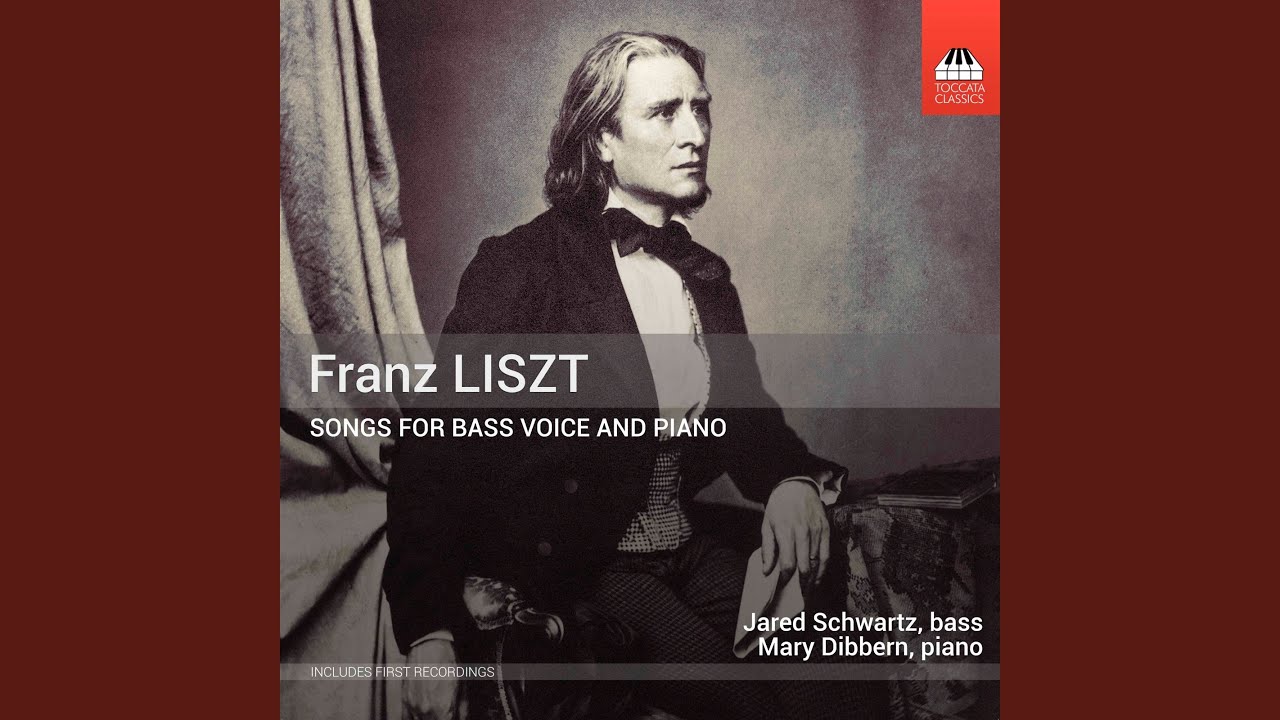 Des Tages laute Stimmen schweigen, S. 337