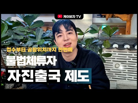 케이비자 비자 안내 영상