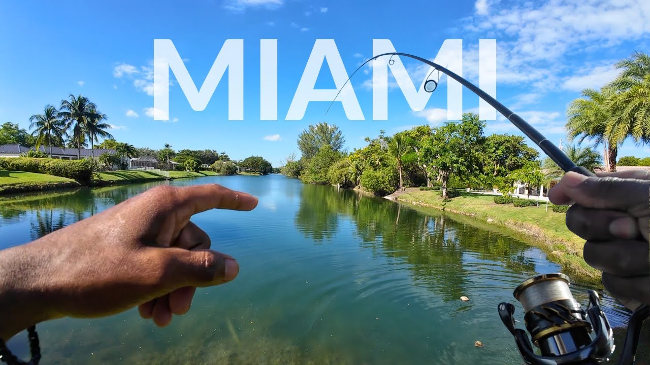 48 hours fishing in Miami Canals – I SEE BASS EVERYWHERE