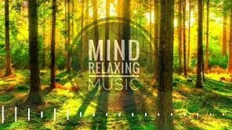 meditation music / music / audio / yoga / sleep music / relaxing sound