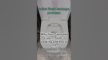 Why Your Concealed Cistern Toilet is Leaking and how to fix