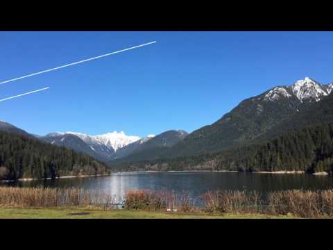 Talking Trees Tour by Talaysay Tours Vancouver