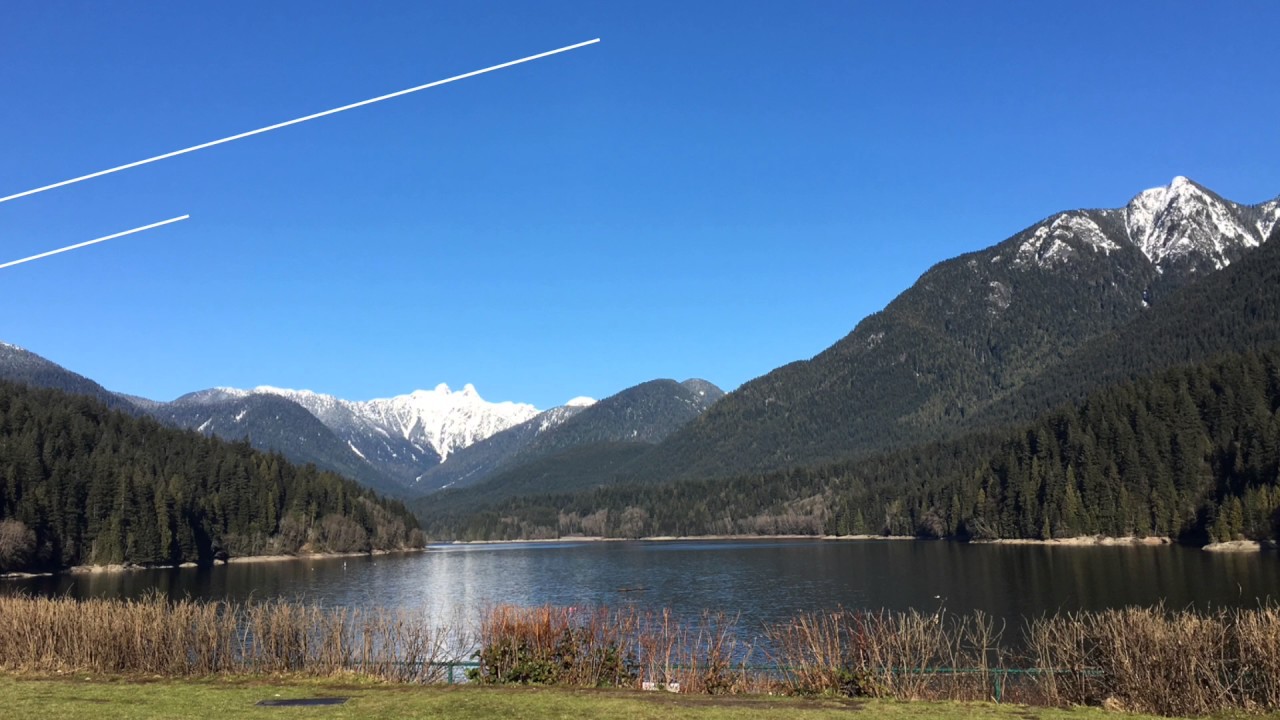 Talking Trees Tour by Talaysay Tours Vancouver