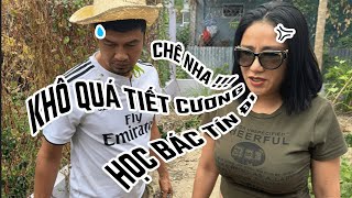 CÁT TƯỜNG CHÊ VƯỜN NHÀ TIẾT CƯƠNG KHÔ CẰN QUÁ!!!