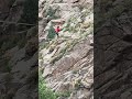 Tightrope